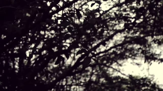 Trailer: Entre o Céu e a Terra - Rodrigo Jalloul, Julia Myara e mais